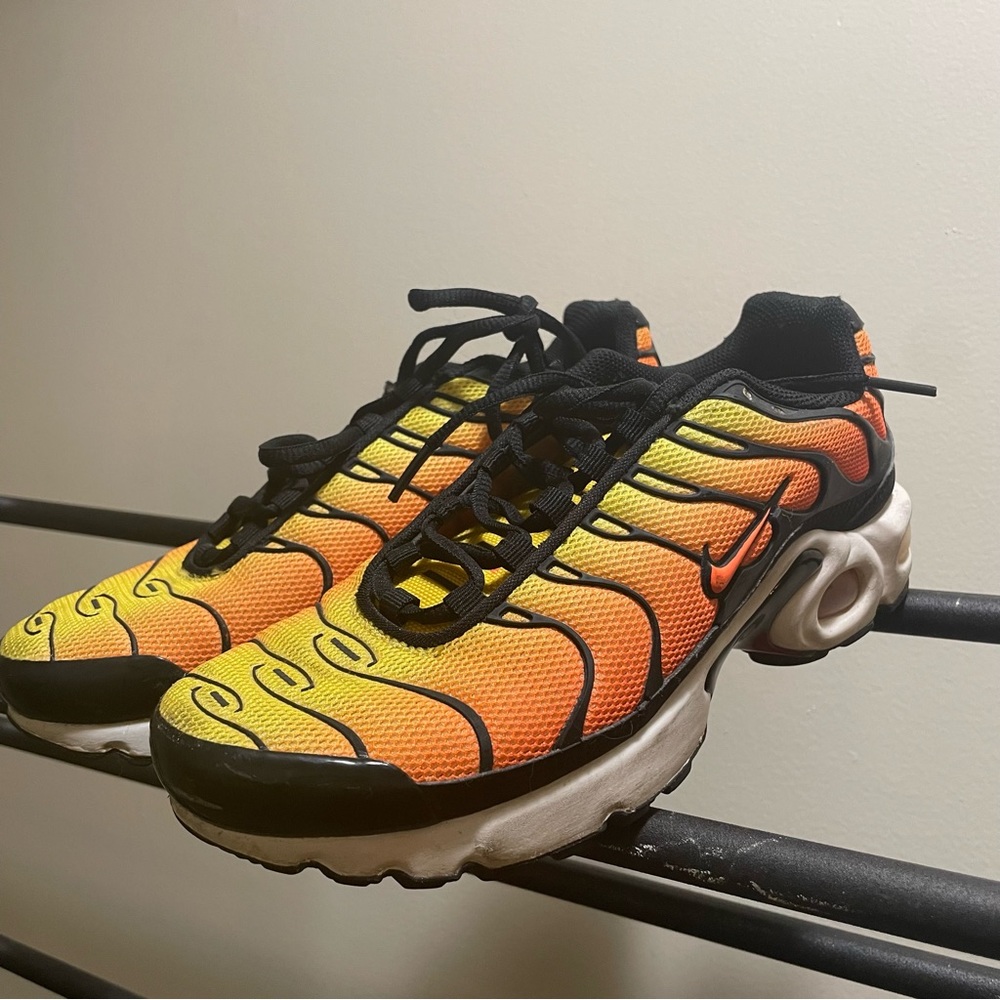 Nike Air Max Plus 🐅